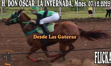 FLICKA – HIPICO DON OSCAR, PARAJE LA INVERNADA, ITACARUARE 07.12.2025