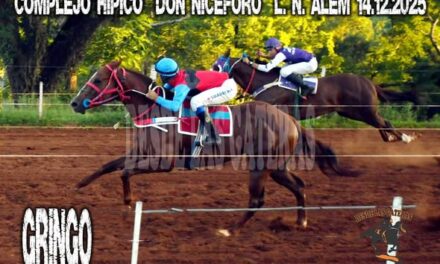 GRINGO – COMPLEJO HIPICO DON NICEFORO , ALEM. 14.12.2025
