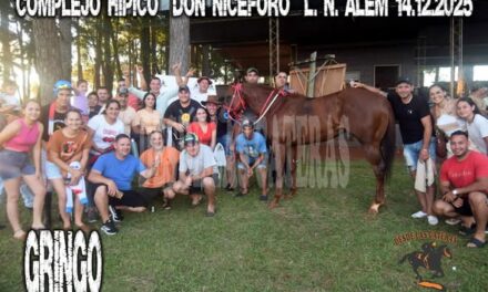 GRINGO – COMPLEJO HIPICO DON NICEFORO , ALEM. 14.12.2025