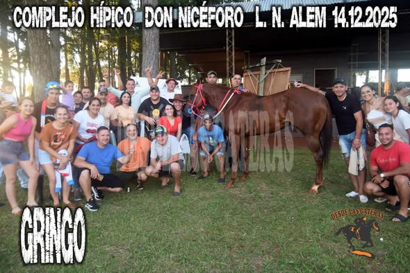 GRINGO – COMPLEJO HIPICO DON NICEFORO , ALEM. 14.12.2025