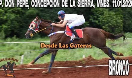 BRONCO – HIPICO «DON PEPE» CONCEPCIÓN DE LA SIERRA, MISIONES 11.01.2026