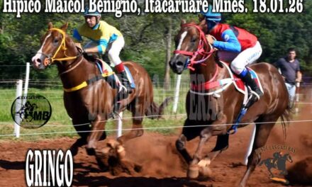 GRINGO – CLASICO HIPICO MAICOL BENIGNO, ITACARUARE, 18.01.2026