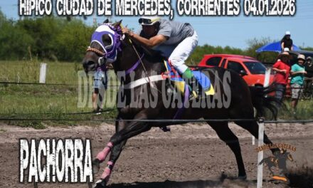 PACHORRA – HIPICO CIUDAD DE MERCEDES, CORRIENTES.04.01.2026