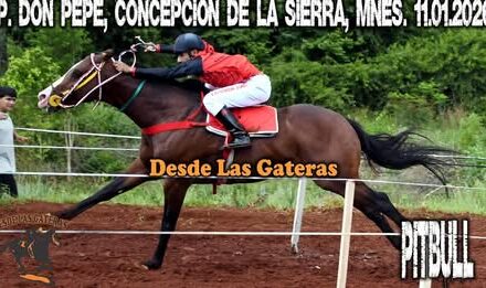 PITBULL – HIPICO DON PEPE, CONCEPCIÓN DE LA SIERRA, MNES 11.01.2026