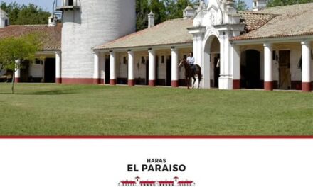 Haras El Paraíso abre la temporada con su gran Venta Anual el 28 de marzo
