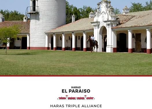 Haras El Paraíso abre la temporada con su gran Venta Anual el 28 de marzo
