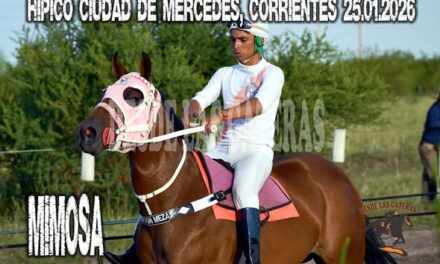MIMOSA – HIPICO MERCEDES, MERCEDES, CORRIENTES, 25.’1.2026
