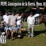 PACHORRA – CLASICO CENTRAL, HIPICO DON PEPE, CONCEPCIÓN DE LA SIERRAM MISIONES. 08.02.2026