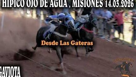 GAVIOTA – CLASICO – HIPICO OJO DE AGUA 14.03.2026