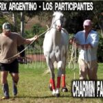 CHARMIN FANTASY – POTRILLO GRAN PRIX ARGENTINO – C. H. DON NICÉFORO – ALEM 02 y O3. 05.26