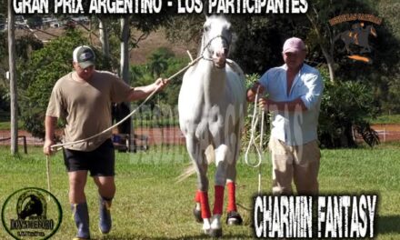 CHARMIN FANTASY – POTRILLO GRAN PRIX ARGENTINO – C. H. DON NICÉFORO – ALEM 02 y O3. 05.26