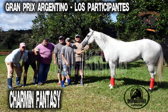 CHARMIN FANTASY – POTRILLO GRAN PRIX ARGENTINO – C. H. DON NICÉFORO – ALEM 02 y O3. 05.26