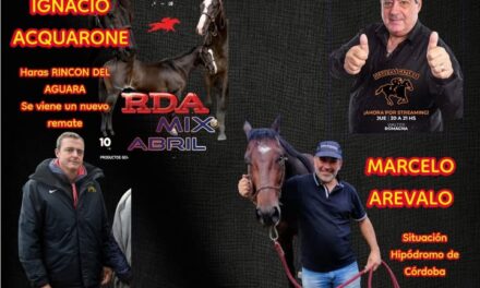 DESDE LAS GATERAS POR STREAMING N 41