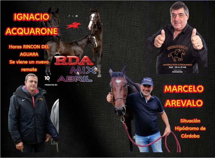 DESDE LAS GATERAS POR STREAMING N 41