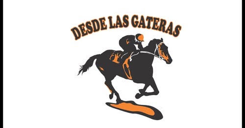 DESDE LAS GATERAS POR STREAMING N 42