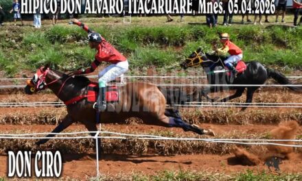 DON CIRO – HIPICO DON ALVARO, ITACARUARE, MISIONES 05.04.2026