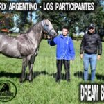 DREAM BIG – POTRILLO GRAN PRIX ARGENTINO – C. H. DON NICÉFORO – ALEM 02 y O3. 05.26