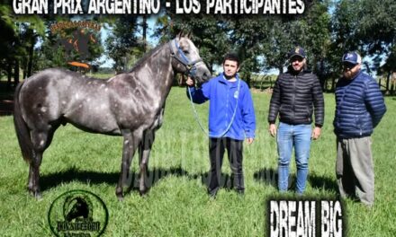 DREAM BIG – POTRILLO GRAN PRIX ARGENTINO – C. H. DON NICÉFORO – ALEM 02 y O3. 05.26