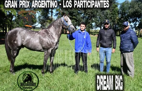 DREAM BIG – POTRILLO GRAN PRIX ARGENTINO – C. H. DON NICÉFORO – ALEM 02 y O3. 05.26
