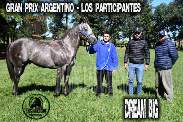 DREAM BIG – POTRILLO GRAN PRIX ARGENTINO – C. H. DON NICÉFORO – ALEM 02 y O3. 05.26