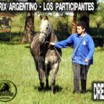 DREAM BIG – POTRILLO GRAN PRIX ARGENTINO – C. H. DON NICÉFORO – ALEM 02 y O3. 05.26