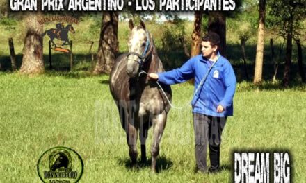 DREAM BIG – POTRILLO GRAN PRIX ARGENTINO – C. H. DON NICÉFORO – ALEM 02 y O3. 05.26
