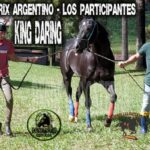 KING DARING – POTRILLO GRAN PRIX ARGENTINO – C. H. DON NICÉFORO – ALEM 02 y O3. 05.26