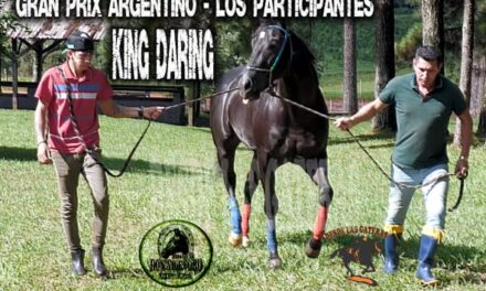 KING DARING – POTRILLO GRAN PRIX ARGENTINO – C. H. DON NICÉFORO – ALEM 02 y O3. 05.26