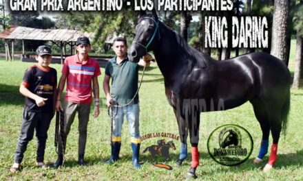 KING DARING – POTRILLO GRAN PRIX ARGENTINO – C. H. DON NICÉFORO – ALEM 02 y O3. 05.26