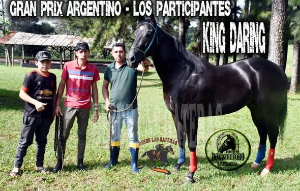 KING DARING – POTRILLO GRAN PRIX ARGENTINO – C. H. DON NICÉFORO – ALEM 02 y O3. 05.26