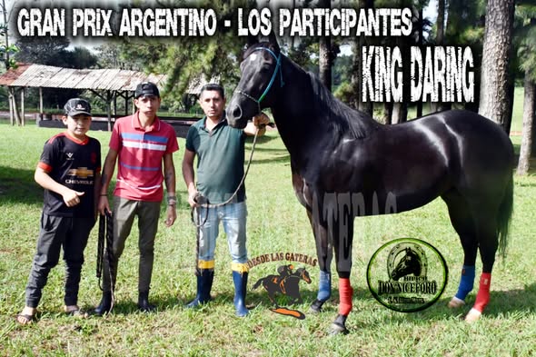KING DARING – POTRILLO GRAN PRIX ARGENTINO – C. H. DON NICÉFORO – ALEM 02 y O3. 05.26