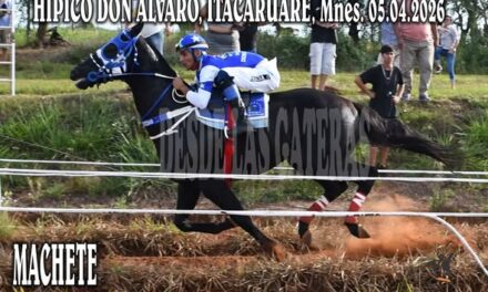 MACHETE – CLASICO, HIPICO DON ALVARO, ITACARUARE – 05.04.2026