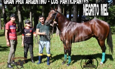 NEGRITO MEL – POTRILLO GRAN PRIX ARGENTINO – C. H. DON NICÉFORO – ALEM 02 y O3. 05.26
