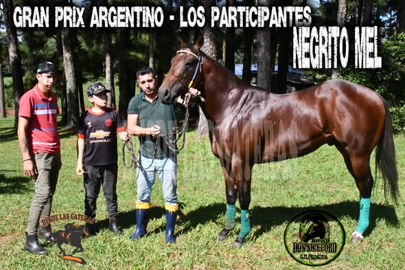 NEGRITO MEL – POTRILLO GRAN PRIX ARGENTINO – C. H. DON NICÉFORO – ALEM 02 y O3. 05.26