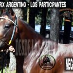 NEGRITO MEL – POTRILLO GRAN PRIX ARGENTINO – C. H. DON NICÉFORO – ALEM 02 y O3. 05.26