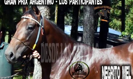 NEGRITO MEL – POTRILLO GRAN PRIX ARGENTINO – C. H. DON NICÉFORO – ALEM 02 y O3. 05.26