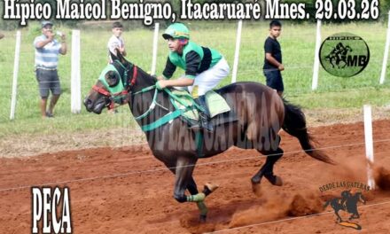 PECA – HIPICO MAICOL BENIGNO, ITACARUARE, MISIONES 29.03.2026