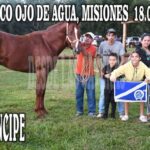 PRINCIPE – CLASICO – HIPICO OJO DE AGUA, MISIONES. 18-04-2026