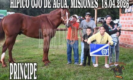PRINCIPE – CLASICO – HIPICO OJO DE AGUA, MISIONES. 18-04-2026