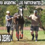 VENEZA DESIRIO – POTRILLO GRAN PRIX ARGENTINO – C. H. DON NICÉFORO – ALEM 02 y O3. 05.26