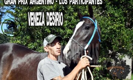VENEZA DESIRIO – POTRILLO GRAN PRIX ARGENTINO – C. H. DON NICÉFORO – ALEM 02 y O3. 05.26