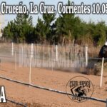 CATA – CLUB HIPICO CRUCEÑO, LA CRUZ CORRIENTES, 10.05.2026