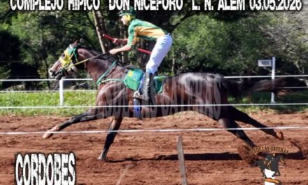 KING DARING – G. P. CONSOLACIÓN TORNEO ARGENTINO, C. H. DON NICEFORO, ALEM, MNES. 03.05.2026