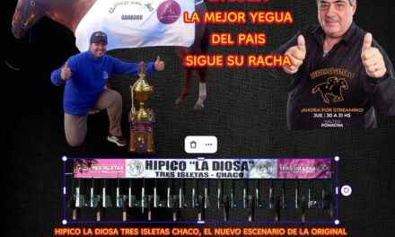 DESDE LAS GATERAS POR STREAMING N 45