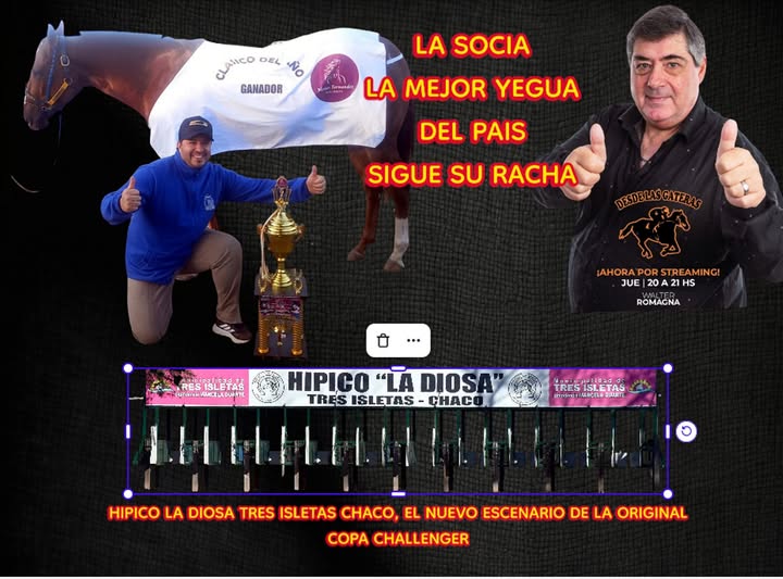 DESDE LAS GATERAS POR STREAMING N 45
