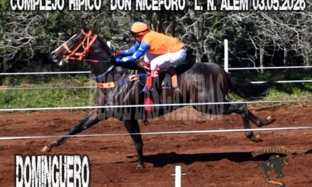 DOMINGUERO – HIPICO DON NICEFORO ALEM 03.05.2026