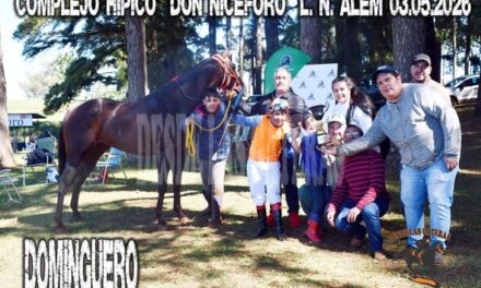 DOMINGUERO – HIPICO DON NICEFORO ALEM 03.05.2026