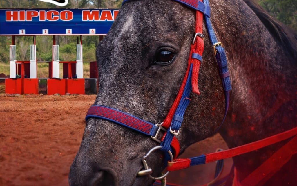 La emoción del turf vuelve a la pista