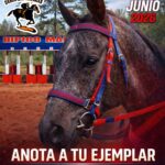 La emoción del turf vuelve a la pista