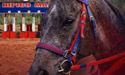 La emoción del turf vuelve a la pista